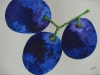 3-grapes1-l