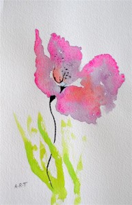 Poppy,  Watercolour,10" x 8"