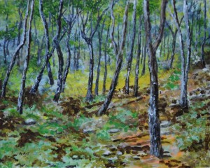 Fethiye woodland 10" x 8", Acrylic on card