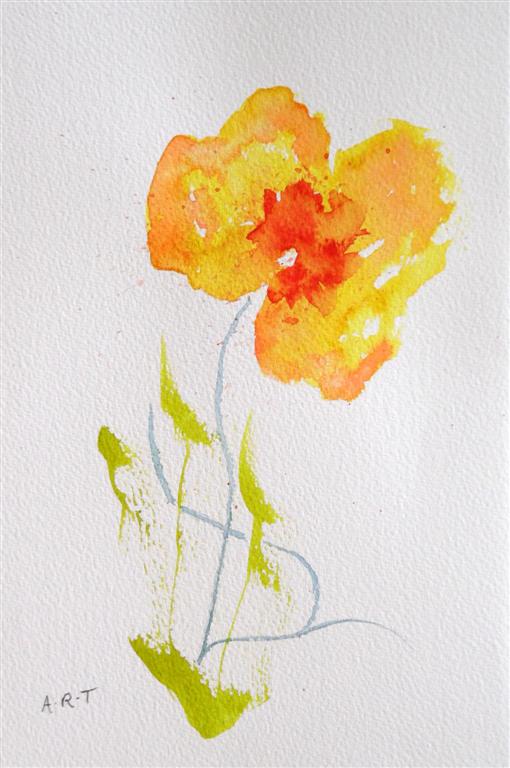 Poppy1
Watercolour, 10" x 8"